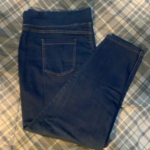 Terra & Sky Jeggings 3x (24/26W)